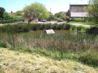 Bacton Pond, Norfolk, UK.